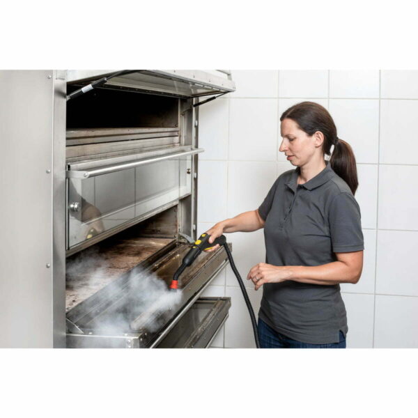 Vaporizador Profesional Karcher Sg 4/4 Eu