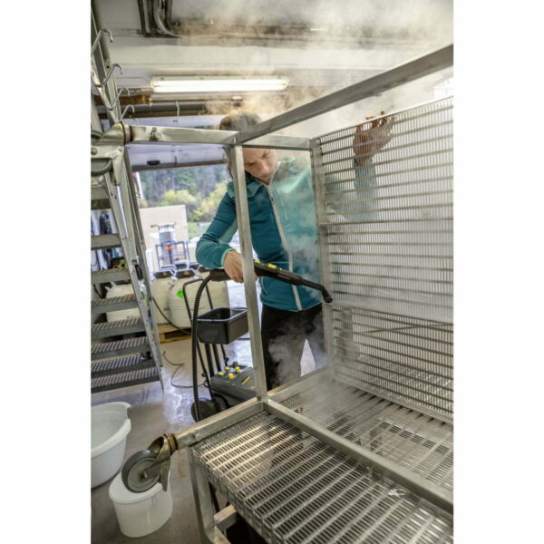 Vaporizador Profesional Karcher Sg 4/4 Eu