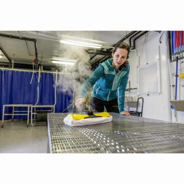 Vaporizador Profesional Karcher Sg 4/4 Eu