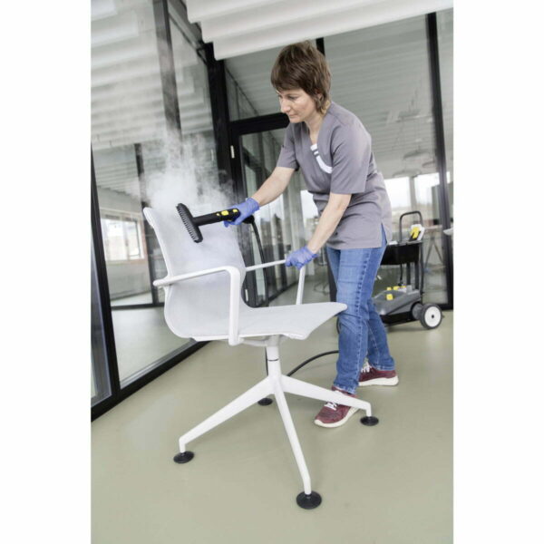Vaporizador Profesional Karcher Sg 4/4 Eu