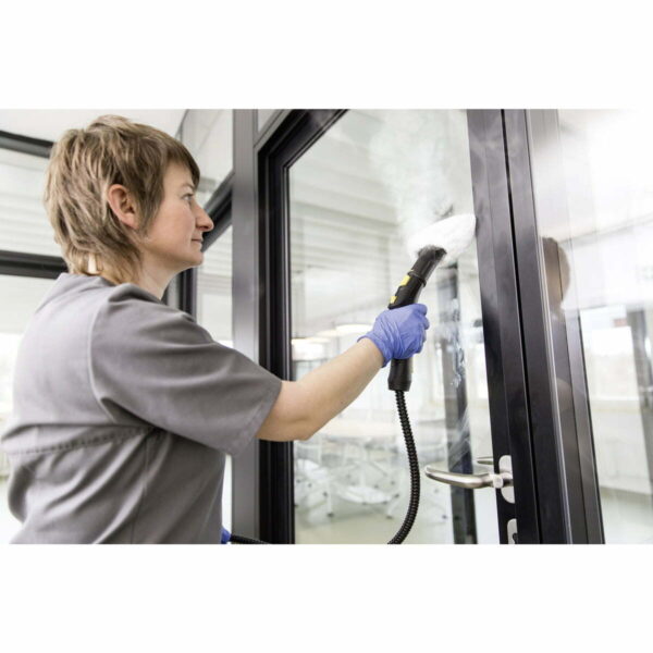 Vaporizador Profesional Karcher Sg 4/4 Eu