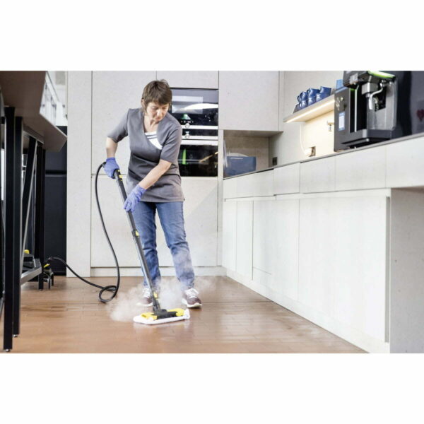 Vaporizador Profesional Karcher Sg 4/4 Eu