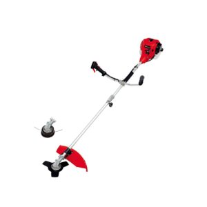 Desbrozadora Einhell GC-BC 25/1 I AS